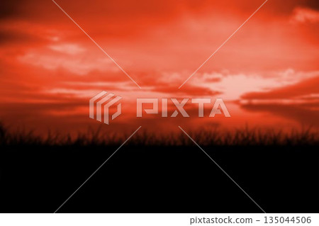 Silhouette grassy field against idyllic sky Silhouette grassy field against idyllic sky 135044506