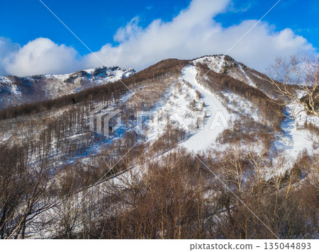 陡峭的山坡，佈滿連續的顛簸（群馬縣川場市） 135044893
