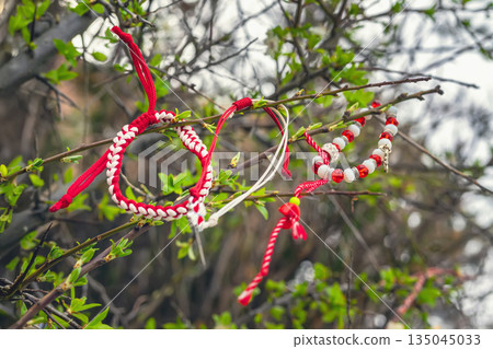 Red and white Martenitsa bracelets tied on tree branch as part of Bulgarian spring tradition. Concept of folklore, seasonal rituals and hope for health, happiness and renewal Red and white Martenitsa bracelets tied on tree branch as part of Bulgarian spring tradition. Concept of folklore, seasonal rituals and hope for health, happiness and renewal 135045033