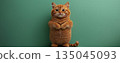 pussy, cat, animal 135045093