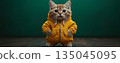 kitty, pussy, cat 135045095