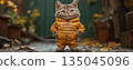 kitty, pussy, cat 135045096