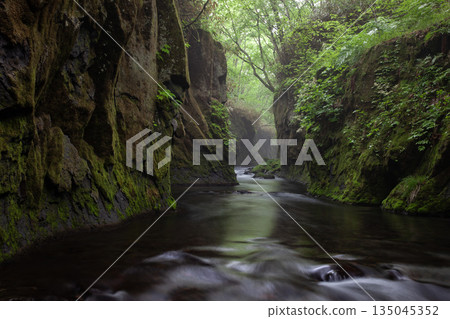 塔魯梅加羅的神秘山谷 塔魯梅加羅的神秘山谷 135045352