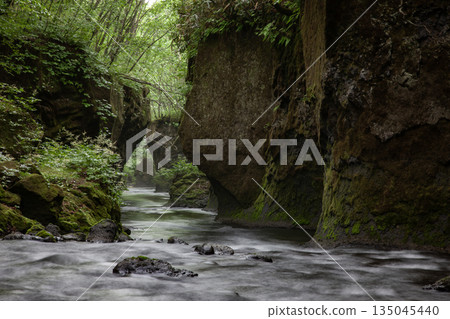 塔魯梅加羅的神秘山谷 塔魯梅加羅的神秘山谷 135045440