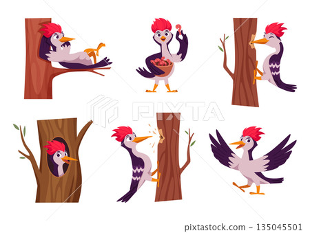 Woodpecker. Cartoon wild bird character in action pose standing eating flying exact vector funny forest mascot woodpecker 135045501