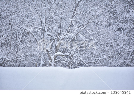 Accumulating snow Accumulating snow 135045541