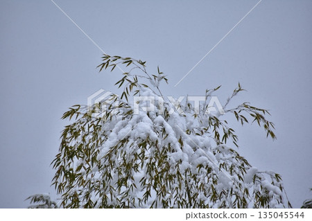 積雪 135045544