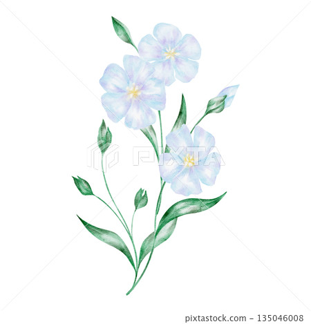 Blue flax flower with green leaves, isolated, hand painted watercolor clipart. Perfect for botanical designs, floral decor, nature illustrations, and spring-themed projects Blue flax flower with green leaves, isolated, hand painted watercolor clipart. Perfect for botanical designs, floral decor, nature illustrations, and spring-themed projects 135046008
