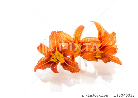 Bright orange lilies isolated on pure white background Bright orange lilies isolated on pure white background 135046032