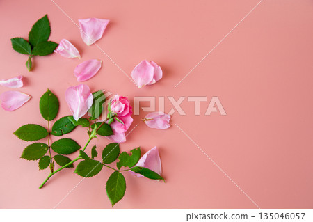 Romantic pink floral background for branding and design Romantic pink floral background for branding and design 135046057