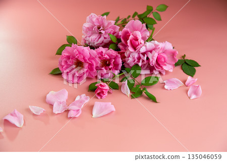 Elegant floral still life with roses and pastel tones Elegant floral still life with roses and pastel tones 135046059