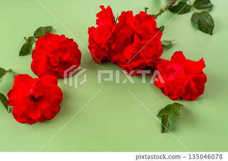 Red roses with textured petals on a green background Red roses with textured petals on a green background 135046078