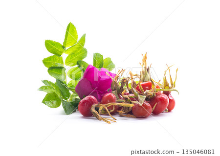 Ripe red rose hips isolated on white background 135046081
