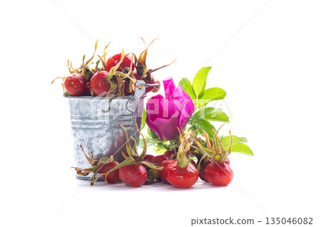 Large red rose hips isolated on white background Large red rose hips isolated on white background 135046082