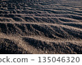 在光線下顯現出的沙丘風蝕紋理 135046320
