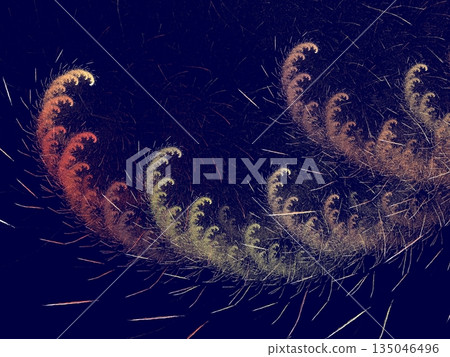 Rainbow pattern 135046496