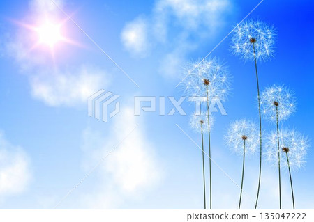 Digitally generated dandelions against blue sky Digitally generated dandelions against blue sky 135047222