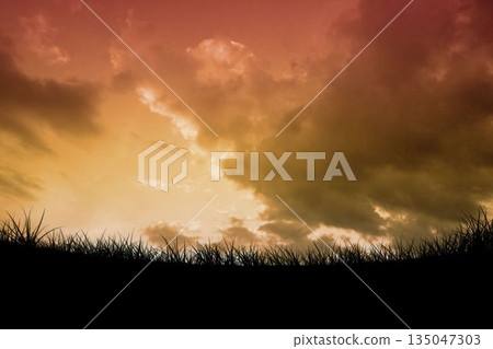 Flat design is showing silhouetted grass along horizon under layered clouds with sunset gradient Flat design is showing silhouetted grass along horizon under layered clouds with sunset gradient 135047303