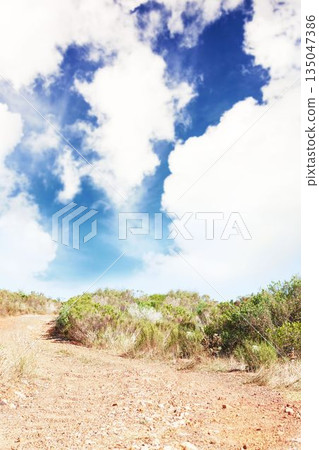Landscape view of grassy field against sky 135047386