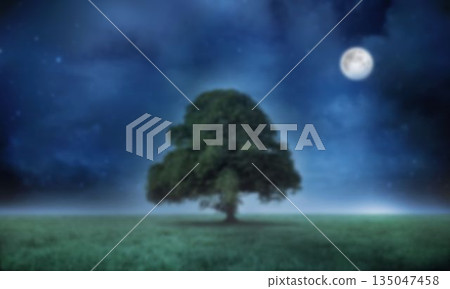 Tree on grass field in moon light 135047458