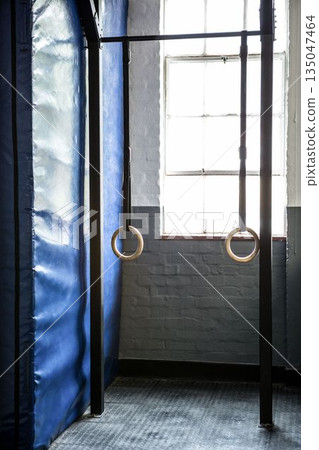 Gymnastic rings against window in gym 135047464