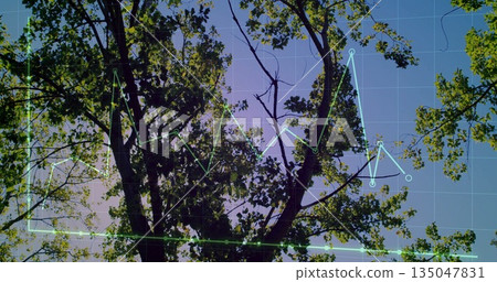 Showing tree canopy spreading overhead in park, with grid overlay and colored line graph markers 135047831