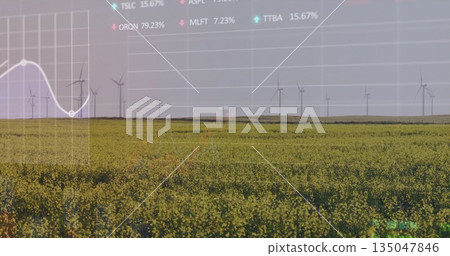 Displaying yellow canola crops swaying over farmland, showing wind turbines and stock data overlay 135047846
