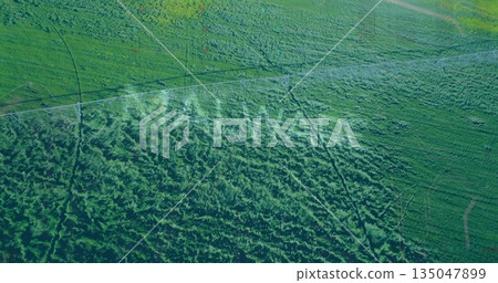 Capturing aerial farmland pattern showing fields divided by dirt track, with shrubland texture 135047899