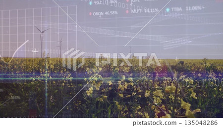 Displaying yellow flowering field stretching across farmland with wind turbines and data overlay 135048286