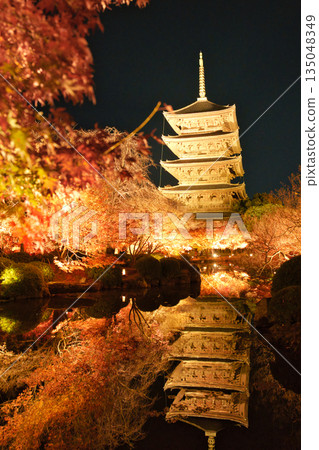 A fantastic view of the illuminated five-story pagoda and autumn leaves reflected on the water at Toji Temple in Kyoto on an autumn night A fantastic view of the illuminated five-story pagoda and autumn leaves reflected on the water at Toji Temple in Kyoto on an autumn night 135048349