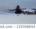 雪中一棵樹 135048644