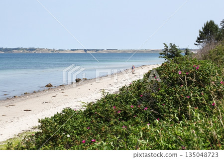 Coastal landscape on the island of Tuno in Denmark Coastal landscape on the island of Tuno in Denmark 135048723