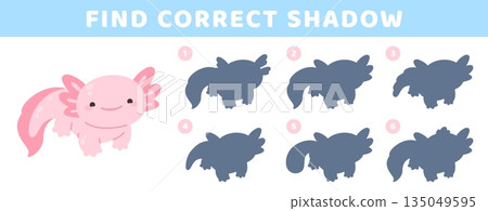 Find axolotl shadow. Children education game with cartoon axolotls shadows. Funny mexican reptile, salamander. Kindergarten kid play racy vector template Find axolotl shadow. Children education game with cartoon axolotls shadows. Funny mexican reptile, salamander. Kindergarten kid play racy vector template 135049595