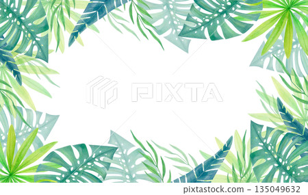 Watercolor tropical horizontal frame with green jungle leaves isolated on white. Botanical border with exotic rainforest foliage. Watercolor tropical horizontal frame with green jungle leaves isolated on white. Botanical border with exotic rainforest foliage. 135049632