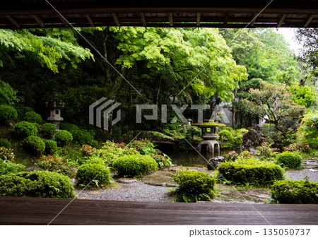 綠意盎然的花園 135050737