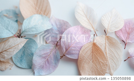 Colorful leaves on a white surface Colorful leaves on a white surface 135050898