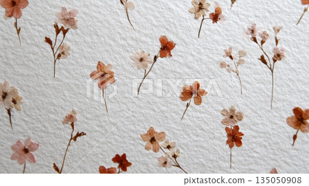 Dried flowers arranged on paper Dried flowers arranged on paper 135050908