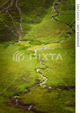 Serpentine stream winds through lush green meadows in the Highlands. 135051462