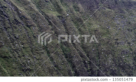 Mountain texture displaying rough terrain, small streams, and uneven growth. Ideal for outdoor and nature concepts. 135051479