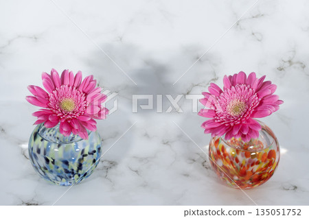 玻璃花瓶裡插著兩朵紫粉色的非洲菊 玻璃花瓶裡插著兩朵紫粉色的非洲菊 135051752
