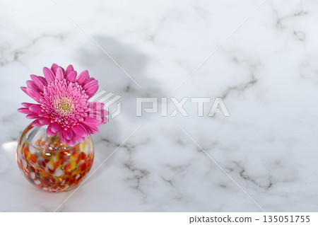 A purplish-pink gerbera flower in a warm-colored glass vase (left) A purplish-pink gerbera flower in a warm-colored glass vase (left) 135051755