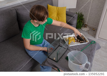 Child engages in a creative activity arranging objects inside a fish tank at home with bright colors and casual attire Child engages in a creative activity arranging objects inside a fish tank at home with bright colors and casual attire 135052291