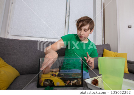 Young boy interacts with aquarium at home on weekend 135052292
