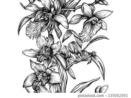 Vanilla orchid seamless coloring page. Vanilla orchid seamless coloring page. 135052501