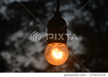 Light bulb hanging glowing outdoor evening electricity filament illumination warms quiet twilight garden scene, single round glass lamp suspended against dark blurry tree silhouette Light bulb hanging glowing outdoor evening electricity filament illumination warms quiet twilight garden scene, single round glass lamp suspended against dark blurry tree silhouette 135054149