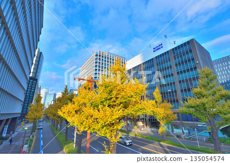 Aichi Prefecture: Nagoya cityscape: Sakura-dori street in autumn, ginkgo trees with yellow leaves 135054574