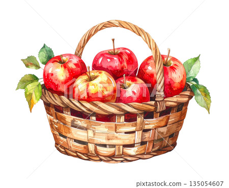Watercolor illustration of a basket of apples 135054607