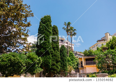 Residential hillside with cypress and palm trees under clear sky in Budva. Mediterranean greenery, urban nature balance, summer climate, and coastal neighborhood atmosphere Residential hillside with cypress and palm trees under clear sky in Budva. Mediterranean greenery, urban nature balance, summer climate, and coastal neighborhood atmosphere 135054692