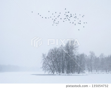 A flock of birds fly over a snowy landscape 135054732