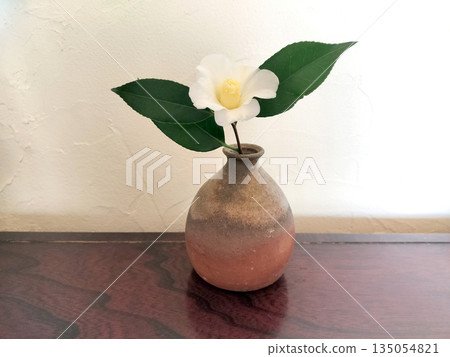 Wabisuke and Vase Ikebana / Photo Wabisuke and Vase Ikebana / Photo 135054821
